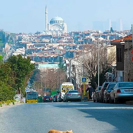 Hotel Efes 3*